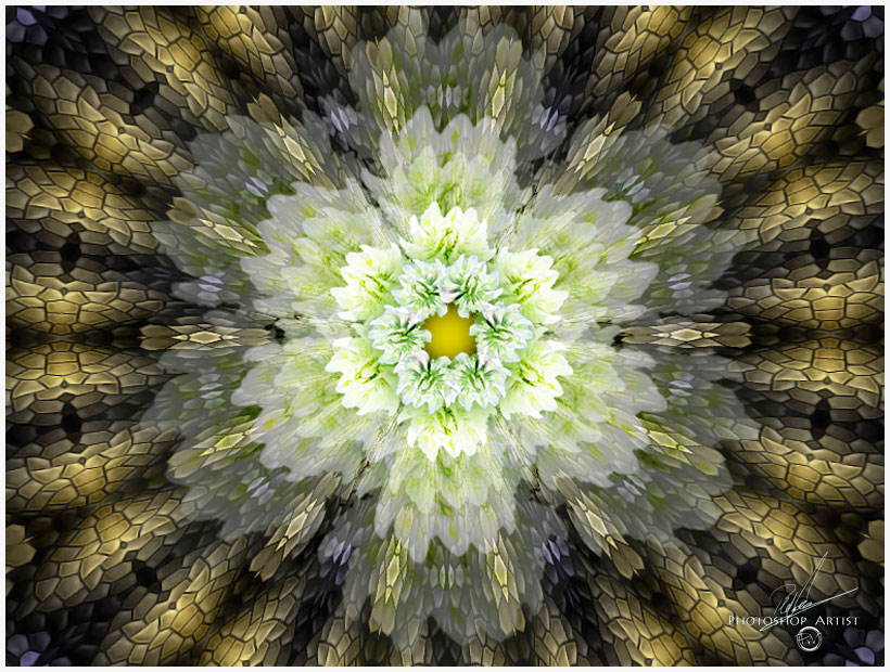 Fractalblume