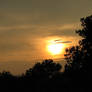 Summers eve