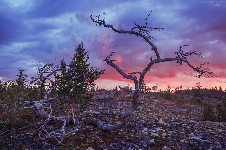 Karelian sunset