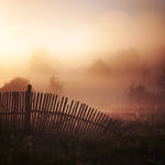 Old fence by KARRR