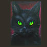 Gato Preto