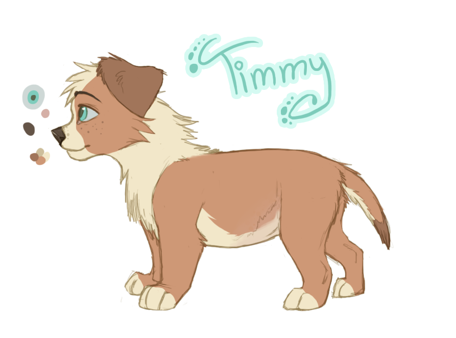 Concept tiem - Timmy