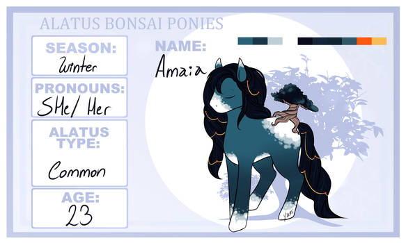 Alatus Bonsai -Amaia