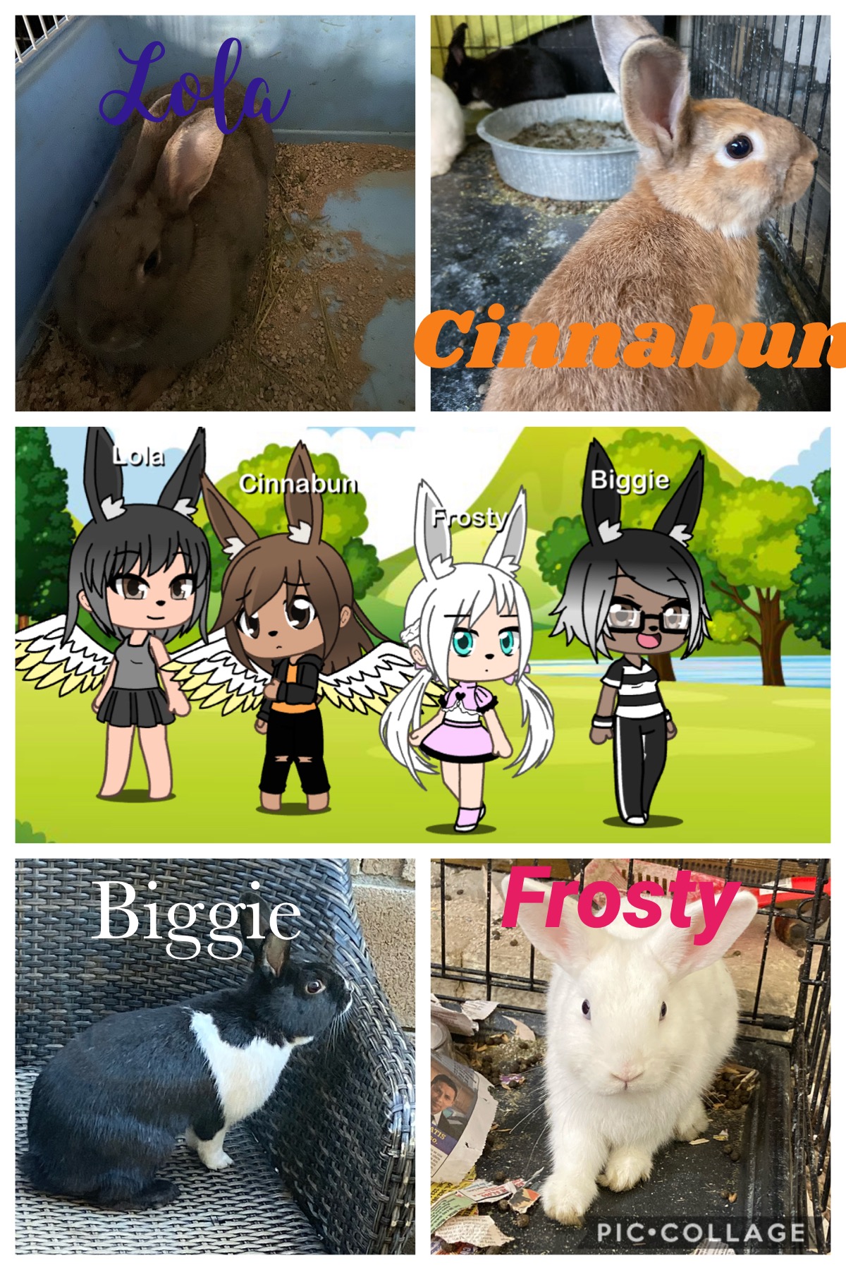 My rabbits as humans by AndyfoxMario on DeviantArt