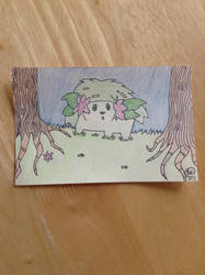 shaymin