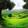 Peaceful Meadow