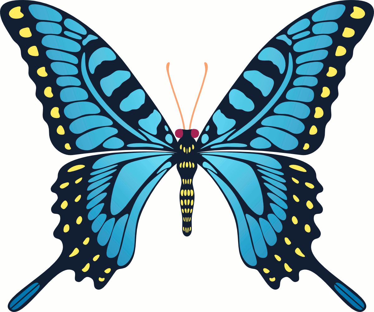 Flying Blue Yellow Butterfly (Animation GIF) by CenCerberon on DeviantArt Flying Blue Yellow Butterfly (Animation GIF) by CenCerberon on DeviantArt