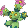 Maractus