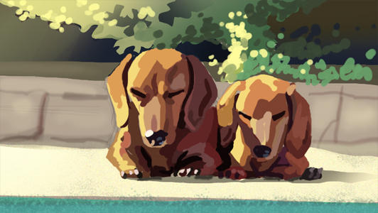 Dachshund quick sketch