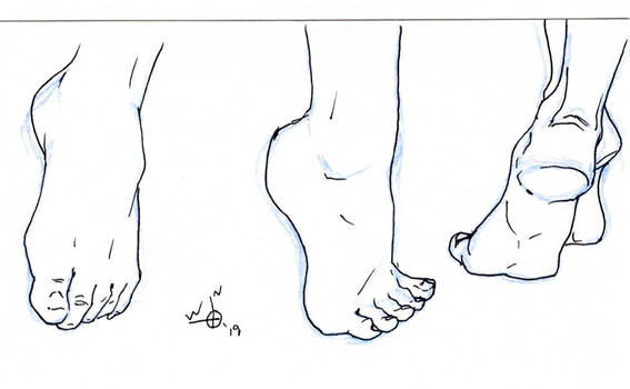 A study of feet