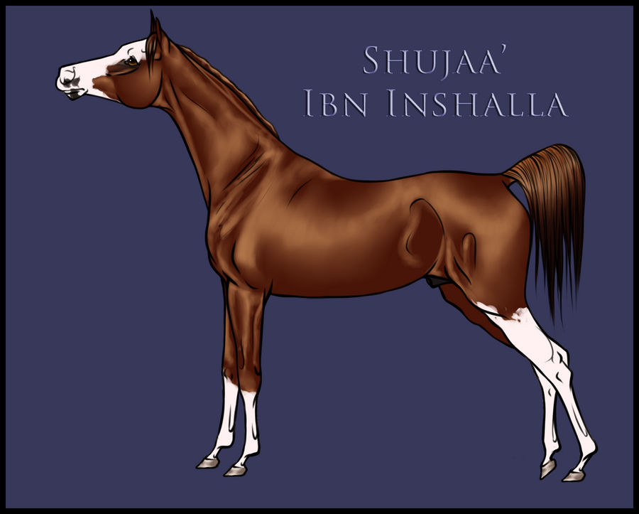 Auction: Shujaa' Ibn Inshalla