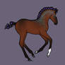 Erytheis Foal #1268