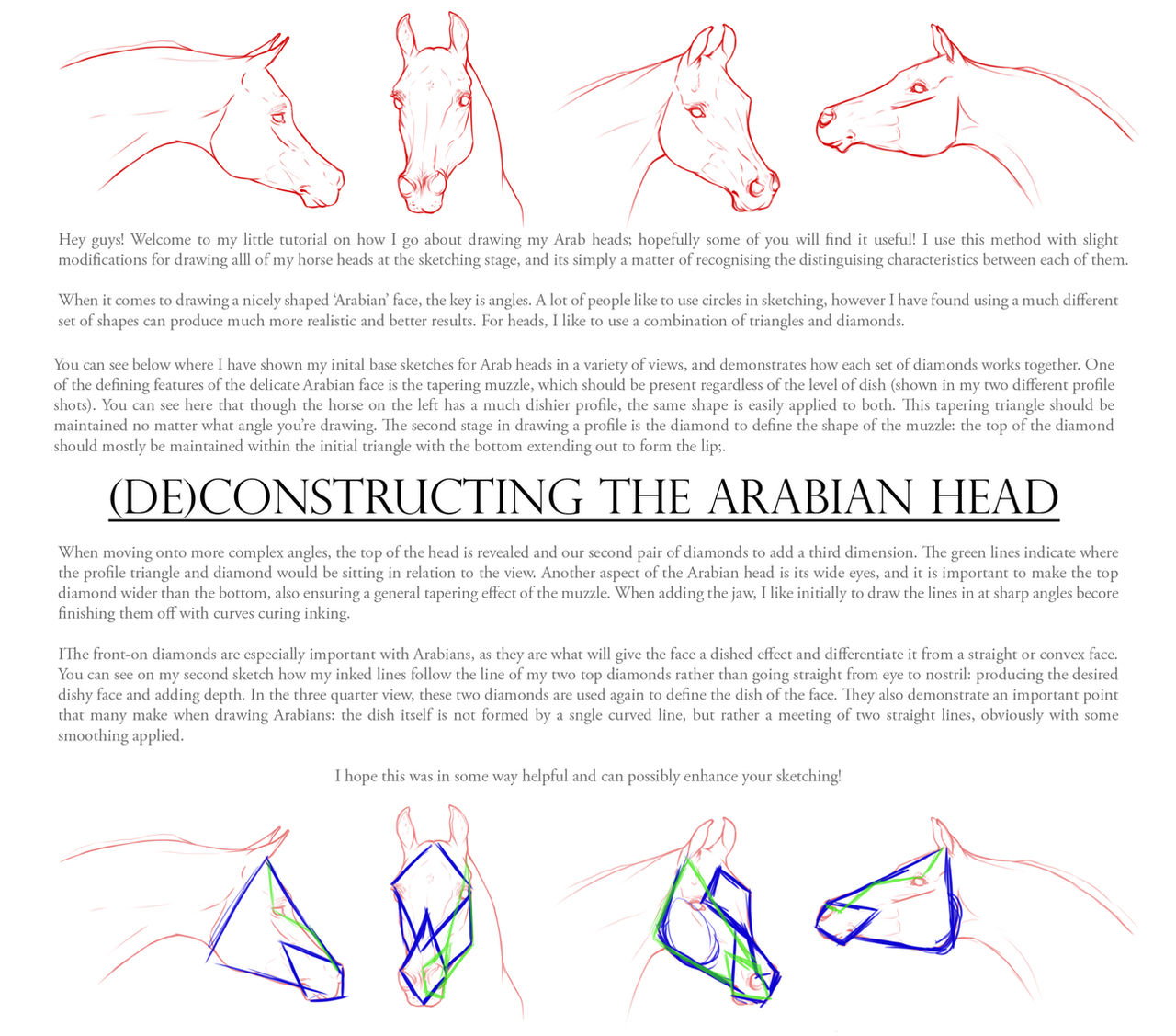 (De)Constructing the Arabian Head