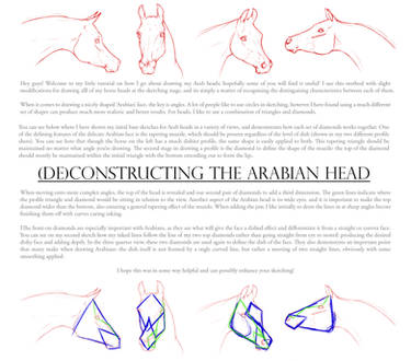 (De)Constructing the Arabian Head