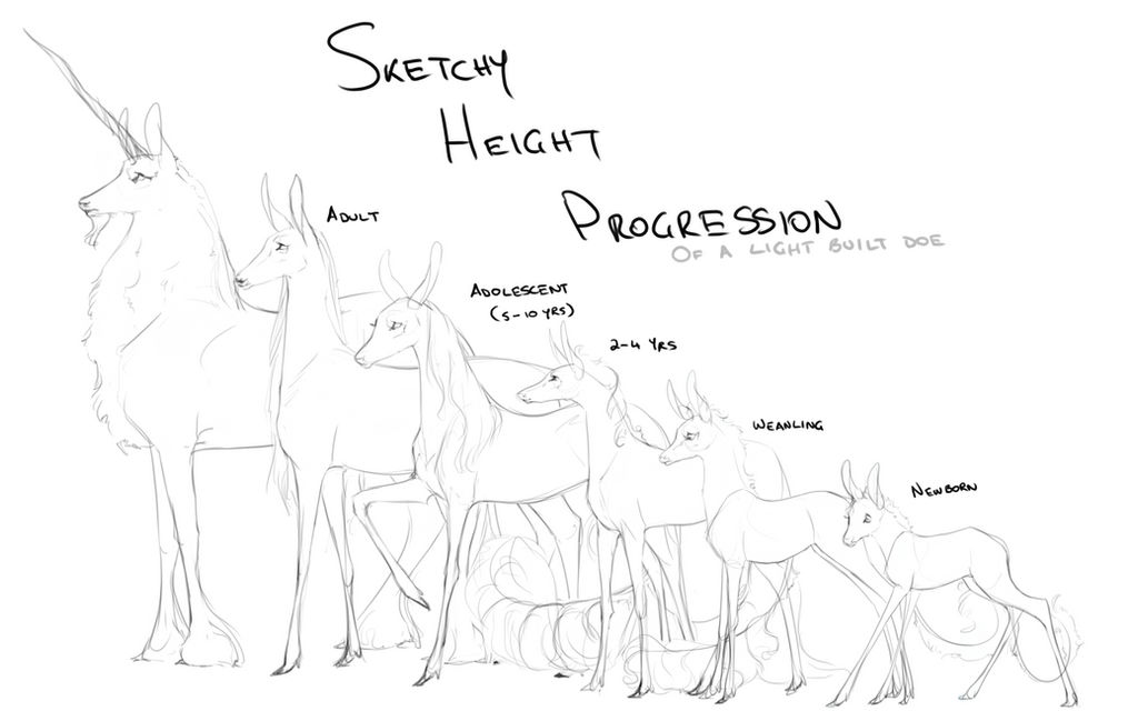 Fawnlings Height Progression by Ehetere on DeviantArt