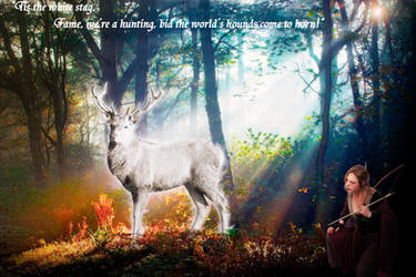 The White Stag