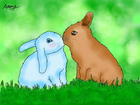 Couple rabbit Image