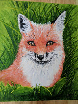 Grassy Fox