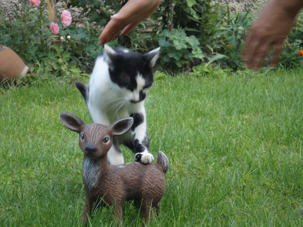 Cat with little deer statue 2