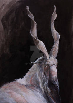 Markhor