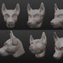 3D dog head model