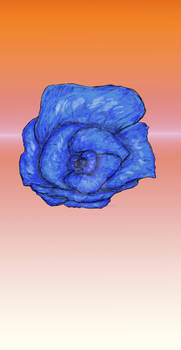 blue rose