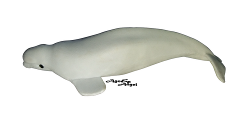 80534 - safe, artist:nieniechu, beluga whale, cetacean, mammal