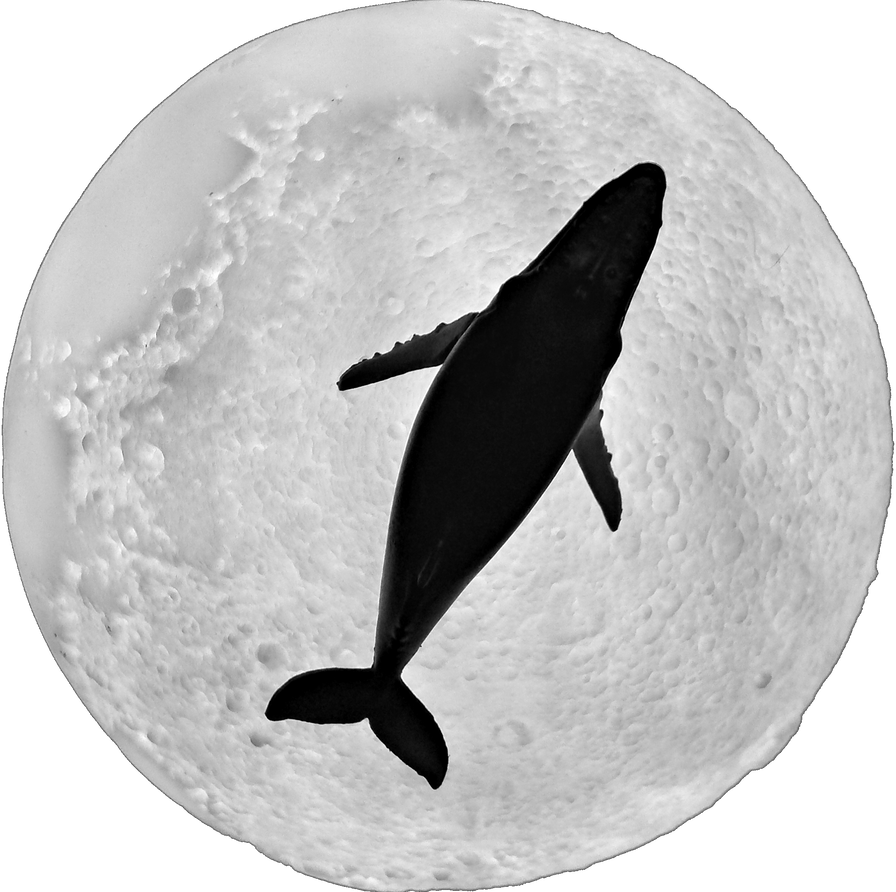 MoonWhale