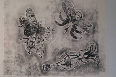 Fictional Insect Drypoint