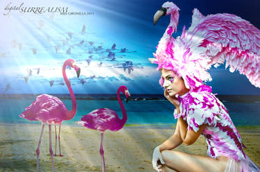 Flight of the Flamingo