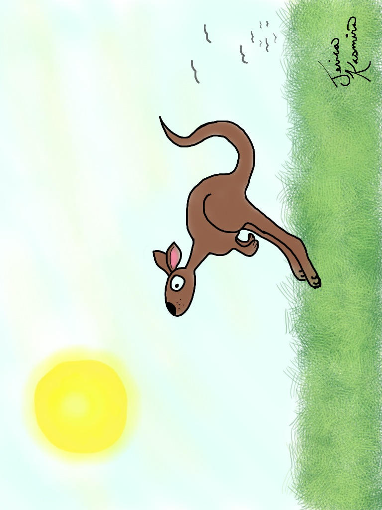 Kangaroo by SailorKasmira on DeviantArt