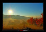 Autumn colors 6 by razvanx