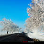 Winter roads 7