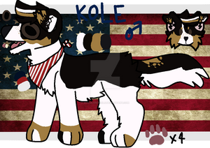 Kole ref sheet .:PA:.