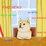 Doge, White House, Small Paws