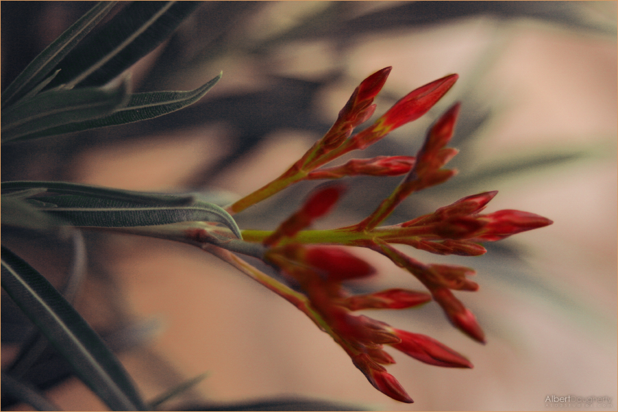 Reaching out with red