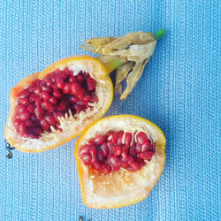 Passion fruit