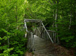 Bridge to nature by Alimba