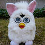 furby.