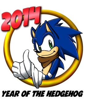 Sonic Boom 2014