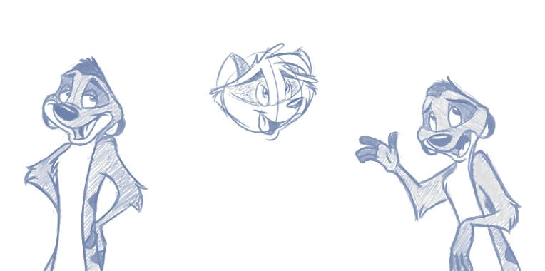 Timon doodles + a raccoon head by crazyyellowfox on DeviantArt