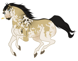 Remuda's Rawhide F120 -- SOLD