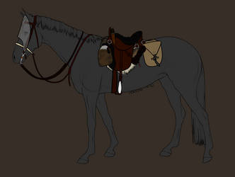 Simple Wasteland Adventure Tack Set 2