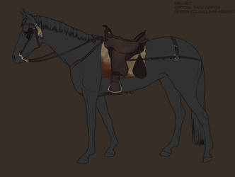 Simple Wasteland Adventurer Tack Set