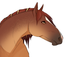 Whiskey By Petrichorcrown