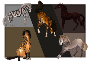 some of Remuda's Nordanner big cats