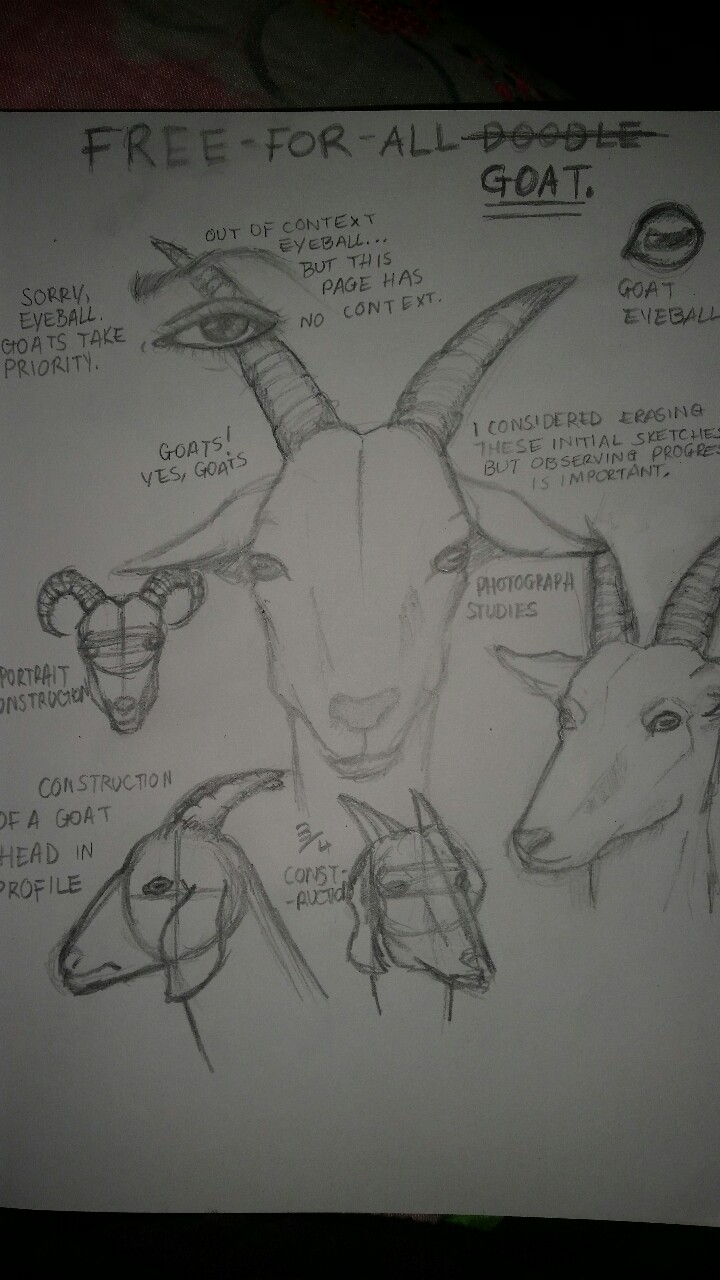 Goat Study by CrassiusCurio on DeviantArt