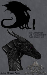 Book Image 9 - Asine Dragon Form