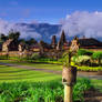 Bedugul scenery