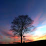 Psychedelic Tree